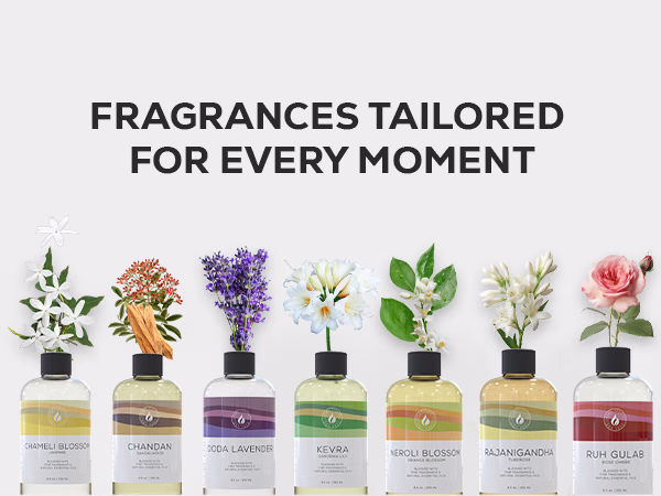 Aroma Country — White Tea / A+ Content / Fragrances for every moment, composition 1, panel 1