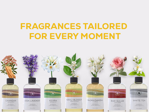 Aroma Country — Chameli Blossom / Blooming Jasmine / A+ Content / Fragrances for every moment, composition 1, panel 1