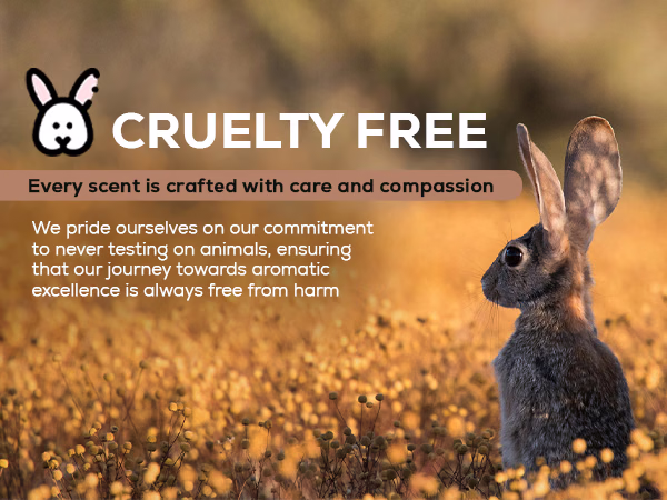 Aroma Country — Chandan / A+ Content / Cruelty-free, composition 1, panel 1