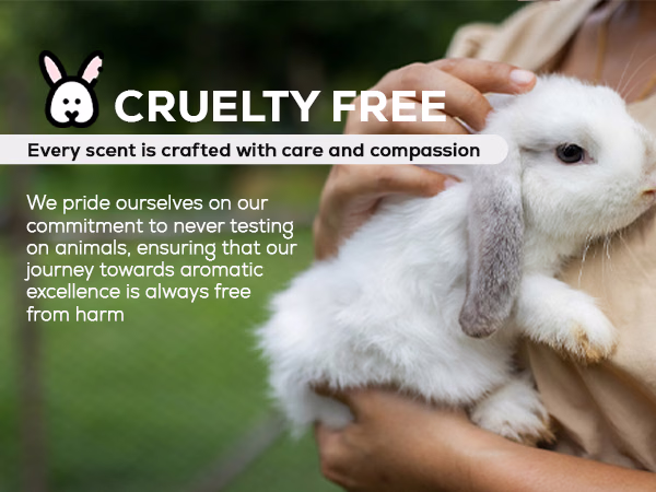 Aroma Country — Fraser Fir / Pine Needle / A+ Content / Cruelty-free, composition 1, panel 1