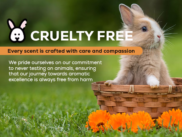 Aroma Country — Neroli Blossom / A+ Content / Cruelty-free, composition 1, panel 1