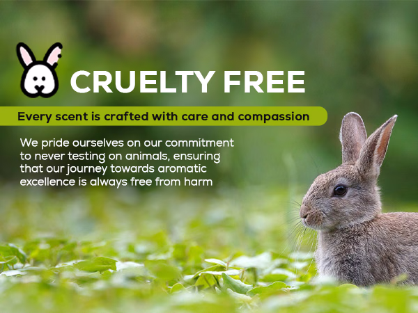 Aroma Country — Kevra / Gardenia Lily / A+ Content / Cruelty-free, composition 1, panel 1