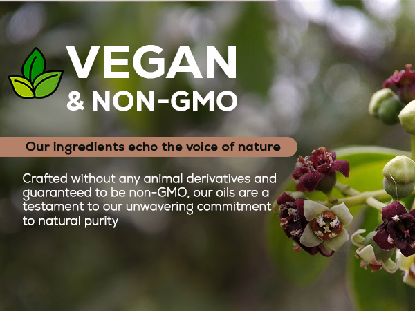 Aroma Country — Chandan / A+ Content / Vegan and non-GMO, composition 1, panel 1