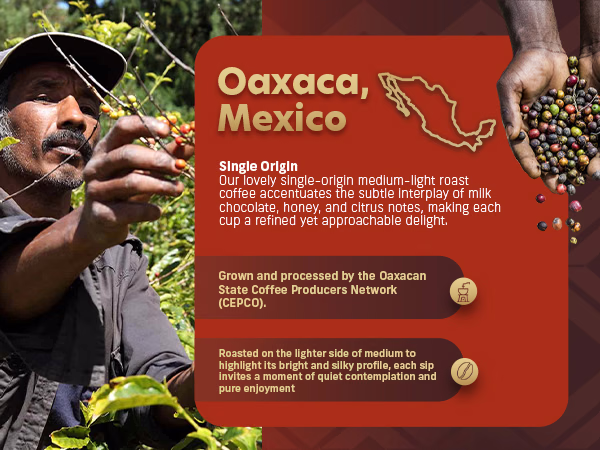 Coffee Uplifts People — Mexico / A+ Content / Coffee origin, composition 1, panel 1