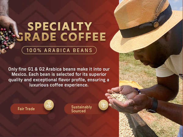 Coffee Uplifts People — Mexico / A+ Content / Specialty grade coffee, composition 1, panel 1
