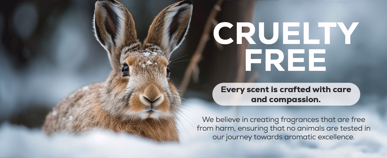 Aroma Country — Winter Collection Gift Box / A+ Content / Cruelty-free, composition 1, panel 1