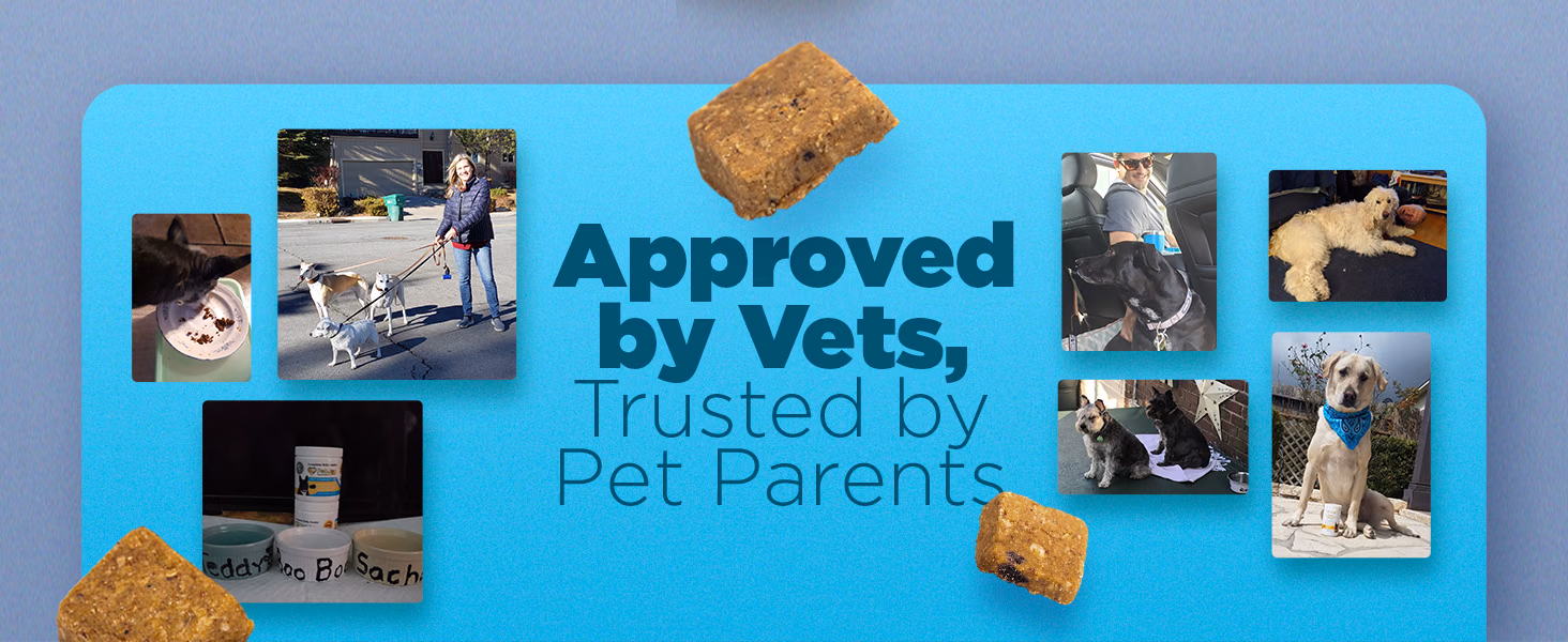 PetJoy — Calm Soothing Hemp Chews / A+ Content, composition 1, panel 1
