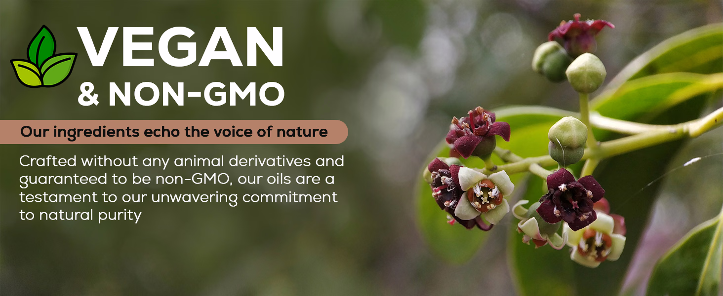 Aroma Country — Chandan / A+ Content / Vegan and non-GMO, composition 1, panel 1