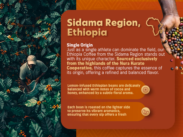 Coffee Uplifts People — Ethiopia / A+ Content / Coffee origin, composition 1, panel 1