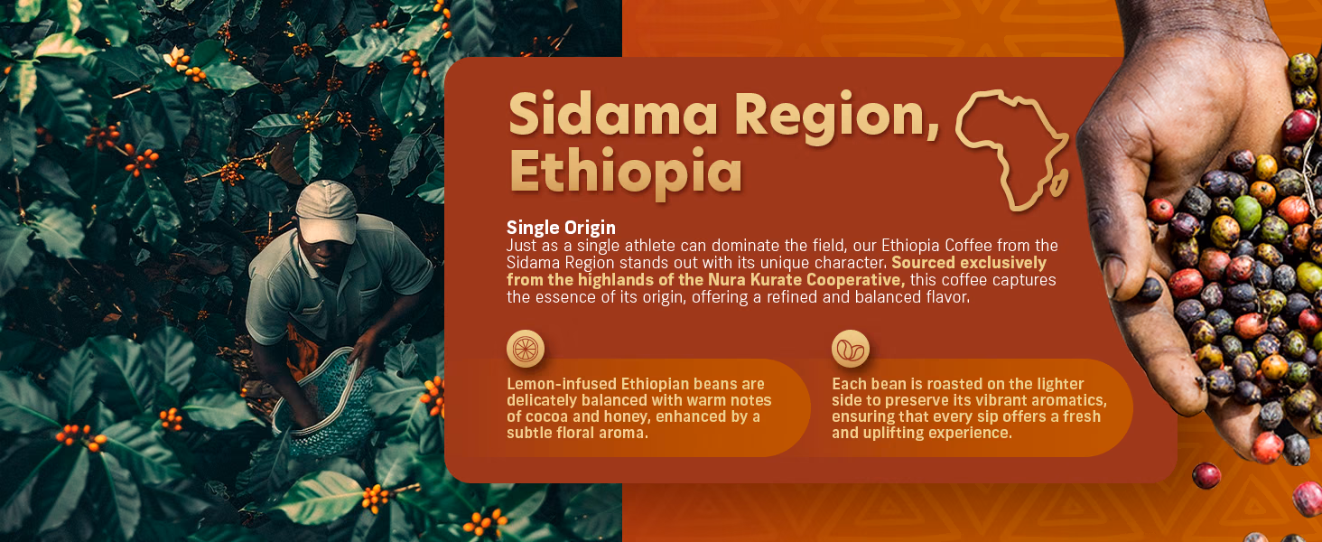 Coffee Uplifts People — Ethiopia / A+ Content / Coffee origin, composition 1, panel 1