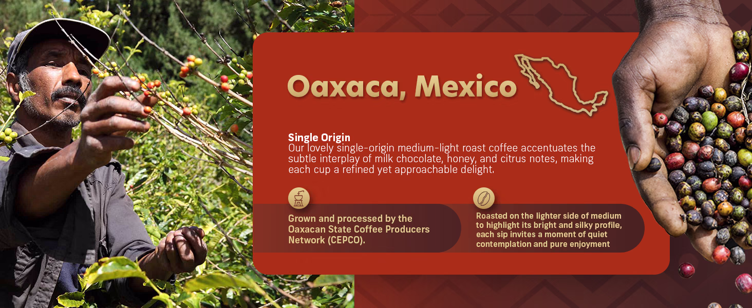 Coffee Uplifts People — Mexico / A+ Content / Coffee origin, composition 1, panel 1