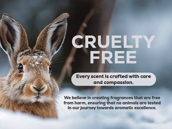 Aroma Country — Winter Collection Gift Box / A+ Content / Cruelty-free, composition 1, panel 1
