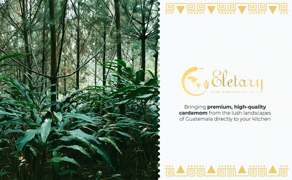 Eletary — Cardamom Pods / A+ Content, composition 1, panel 1