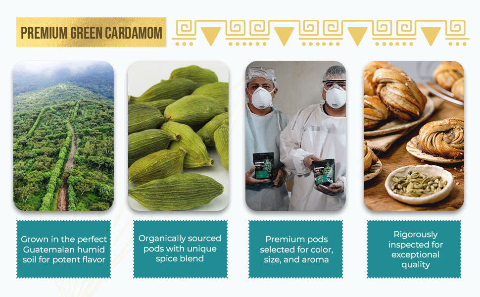 Eletary — Cardamom Pods / A+ Content, composition 1, panel 1