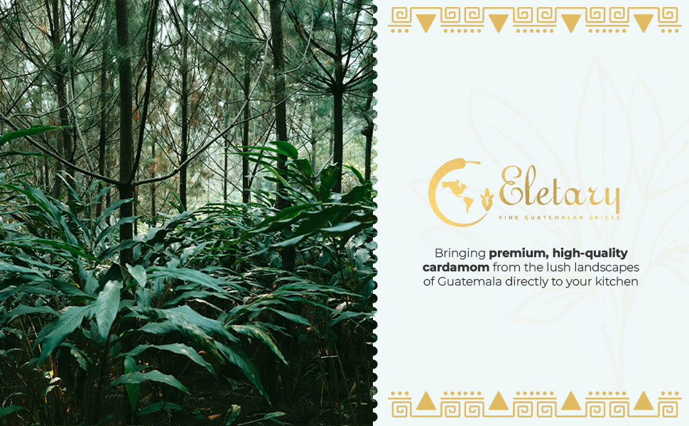 Eletary — Coarsely Ground Cardamom Powder / A+ Content, composition 1, panel 1