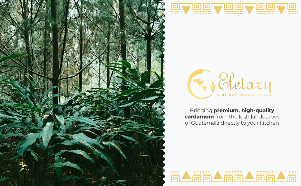 Eletary — Cardamom Seeds / A+ Content, composition 1, panel 1
