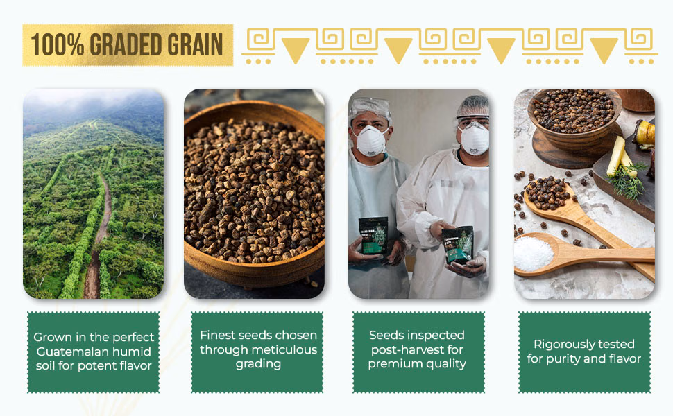 Eletary — Cardamom Seeds / A+ Content, composition 1, panel 1