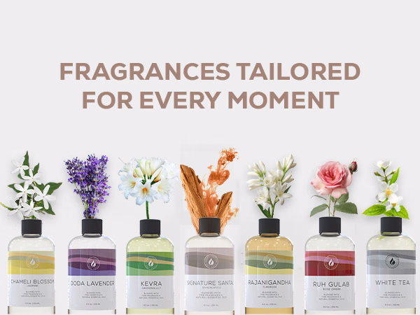 Aroma Country — Signature Santal Sandalwood / A+ Content / Fragrances for every moment, composition 1, panel 1