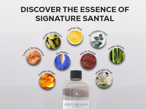 Aroma Country — Signature Santal Sandalwood / A+ Content / Scent notes, composition 1, panel 1