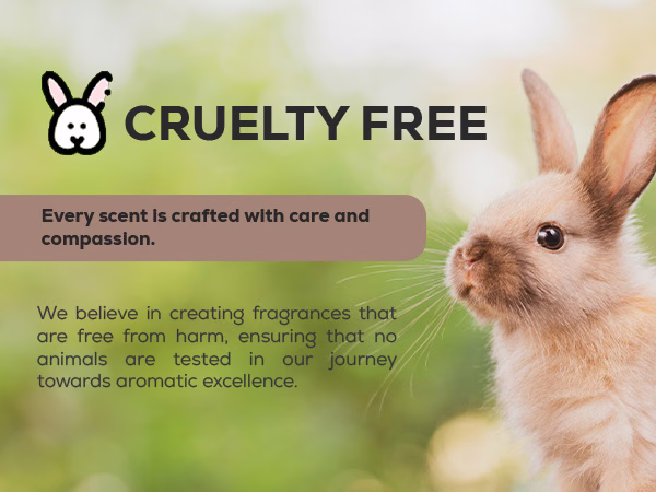 Aroma Country — Signature Santal Sandalwood / A+ Content / Cruelty-free, composition 1, panel 1