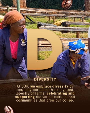Diversity: CUP connects coffee sourcing with the varied cultures and farming communities that grow its beans; two workers stand at coffee drying beds.