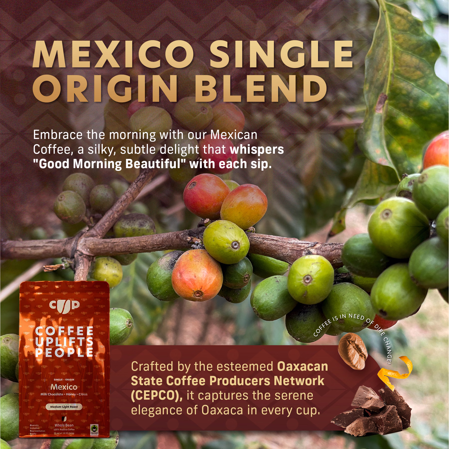 Coffee Uplifts People / Mexico — listing image 2