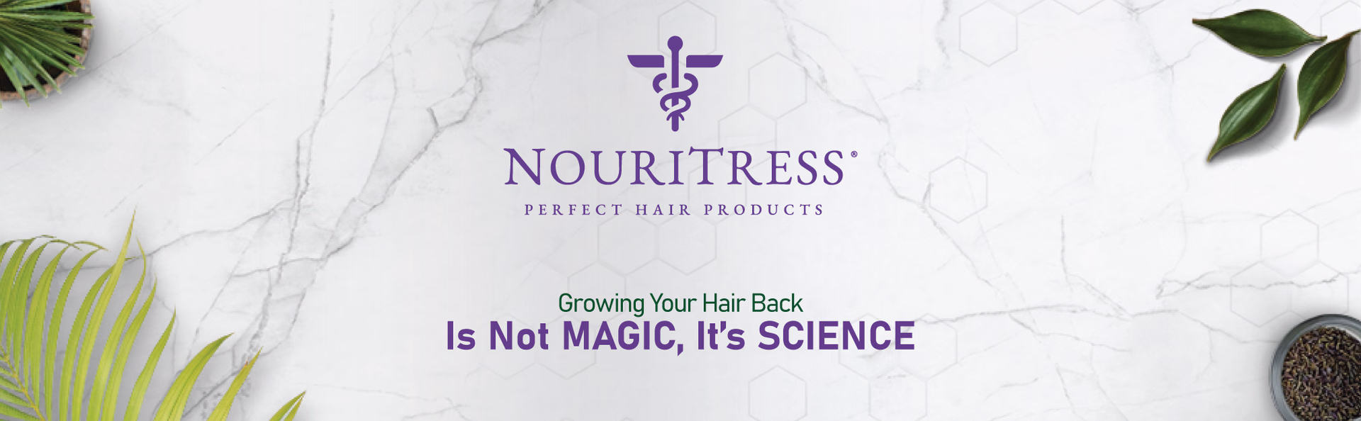 NouriTress — Hair Follicle Therapy Serum / A+ Content, composition 1, panel 1