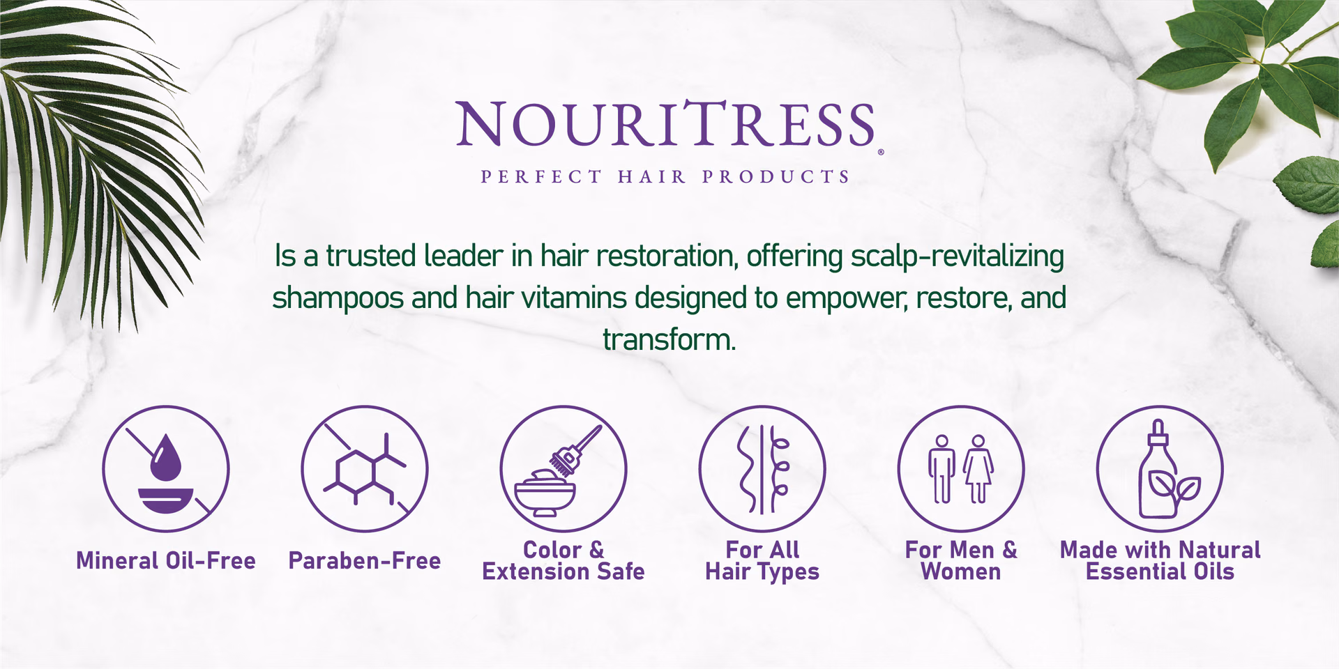NouriTress — About Us / Storefront, composition 2, panel 1