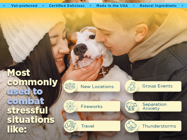 PetJoy — Calm Soothing Hemp Chews / A+ Content, composition 1, panel 1