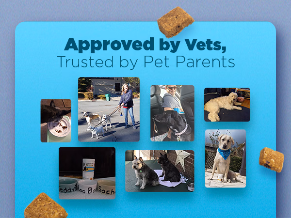 PetJoy — Calm Soothing Hemp Chews / A+ Content, composition 1, panel 1