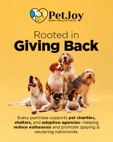 PetJoy — Brand Story card 1