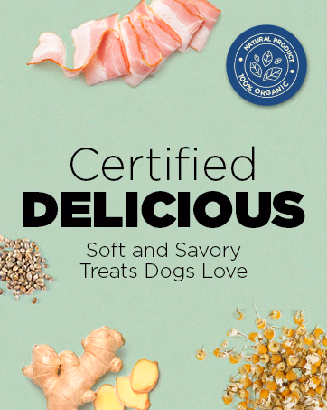 PetJoy — Brand Story card 5