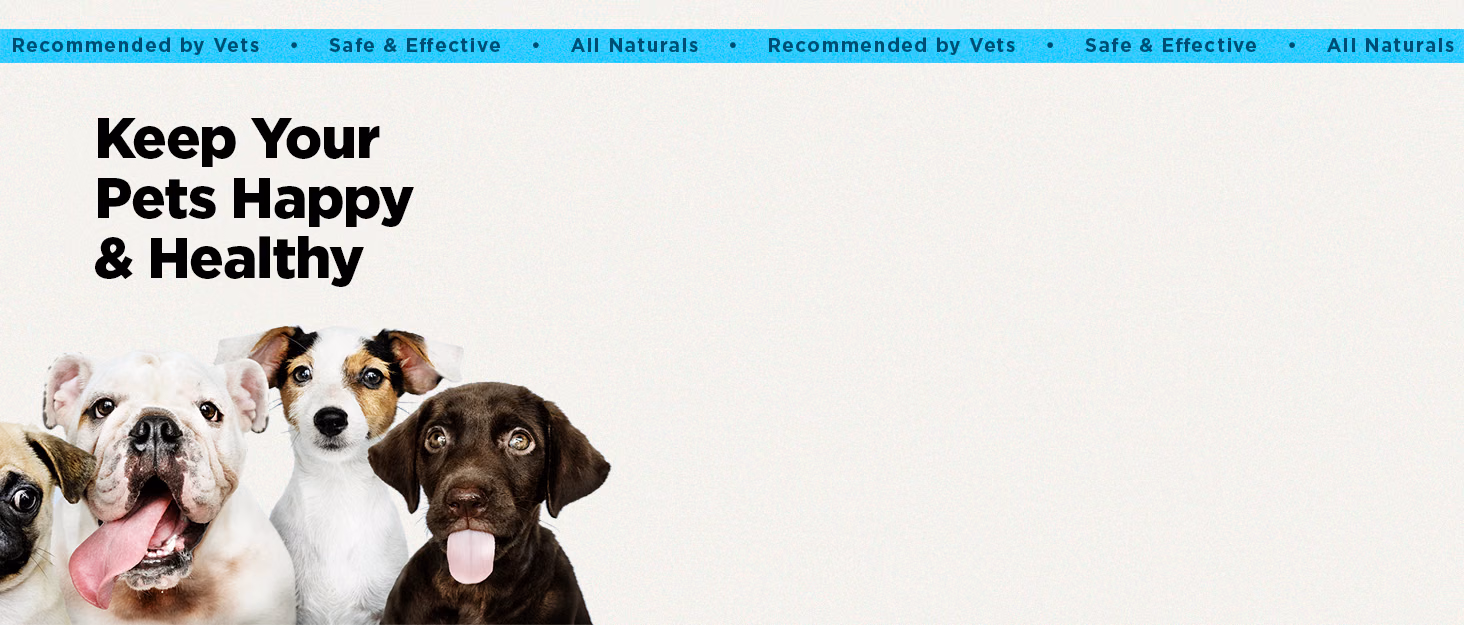 Four dogs accompany PetJoy’s happy, healthy pets message and its natural ingredients, veterinary recommendation, and safety claims.