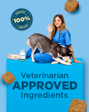 PetJoy — Brand Story card 3