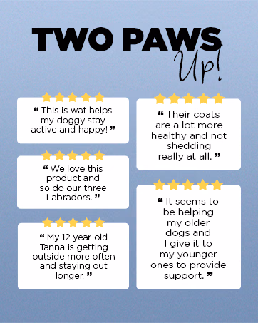 PetJoy — Brand Story card 7