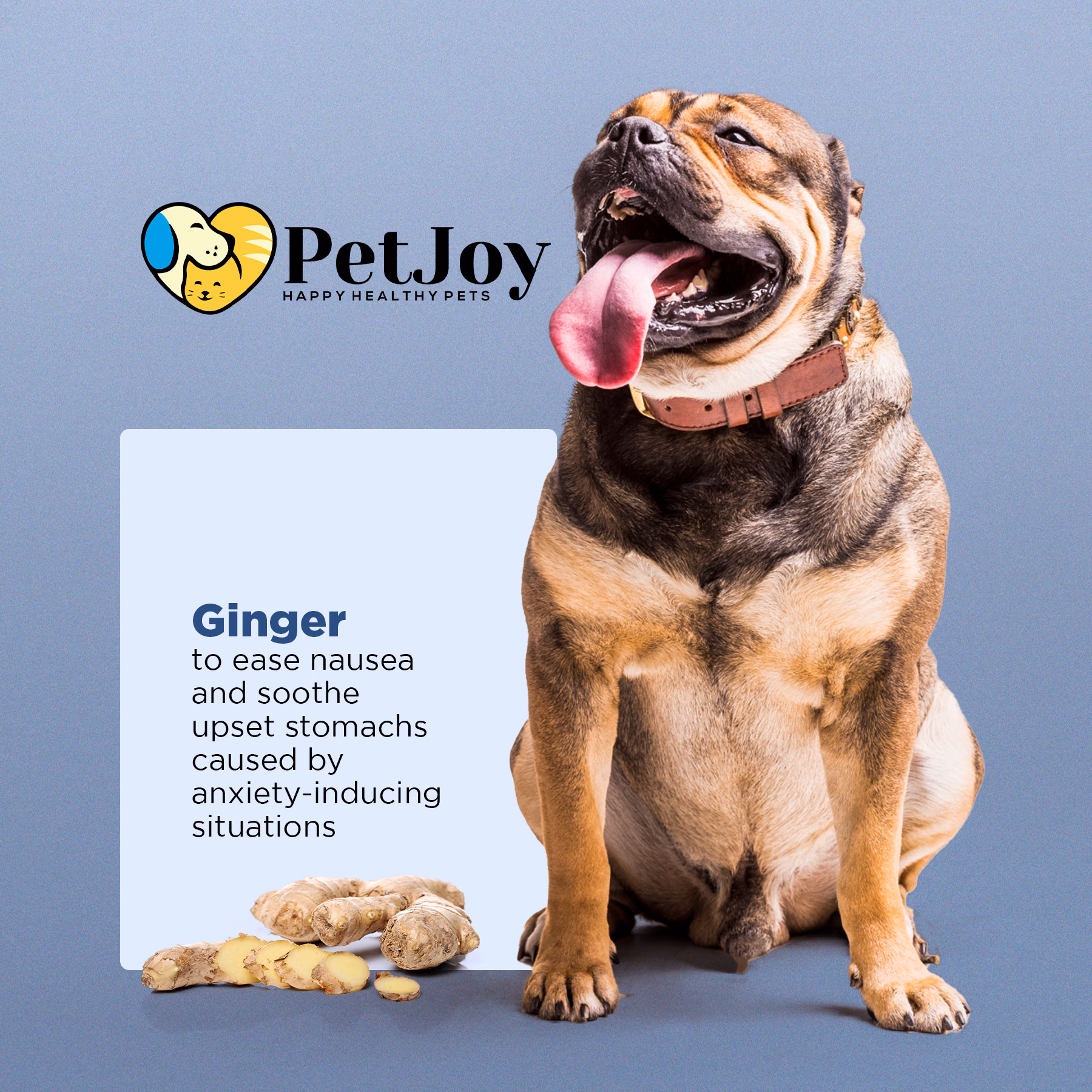 PetJoy / Calm Soothing Hemp Chews — listing image 5