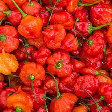 Ashebre Gourmet — Scotch Bonnet Hot Sauce / A+ Content, composition 4, panel 1